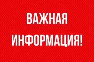 Голосование с помощью СМС и мессенджера WhatsApp